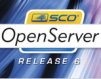 OpenServer 系統管理軟體